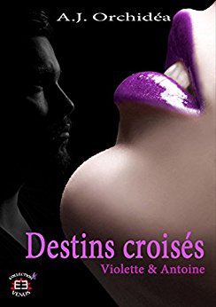 Destins croisés, tome 1 : Violette & Antoine de A.J.&nbsp;Orchidéa.