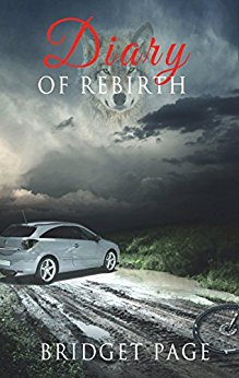 diary of rebirth tome 1