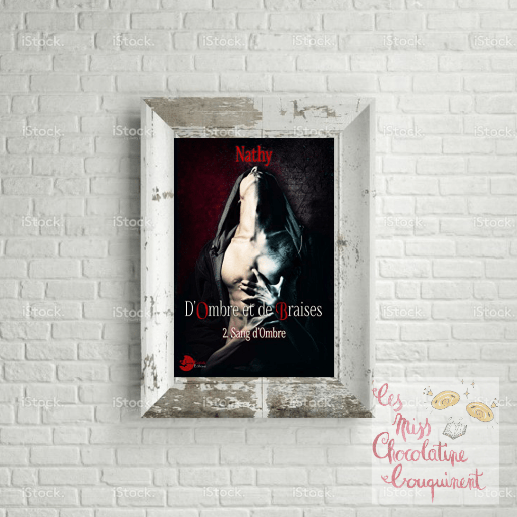 Sang d&rsquo;ombre, tome 2 : D&rsquo;Ombre et de Braises de&nbsp;Nathy