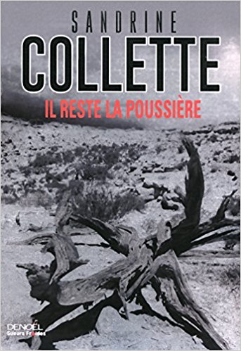 Il reste la poussière de Sandrine&nbsp;Collette.