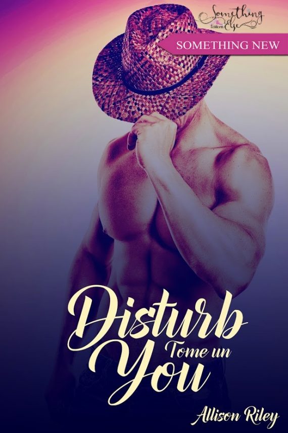 Disturb you, tome 1 d’Allison&nbsp;Riley