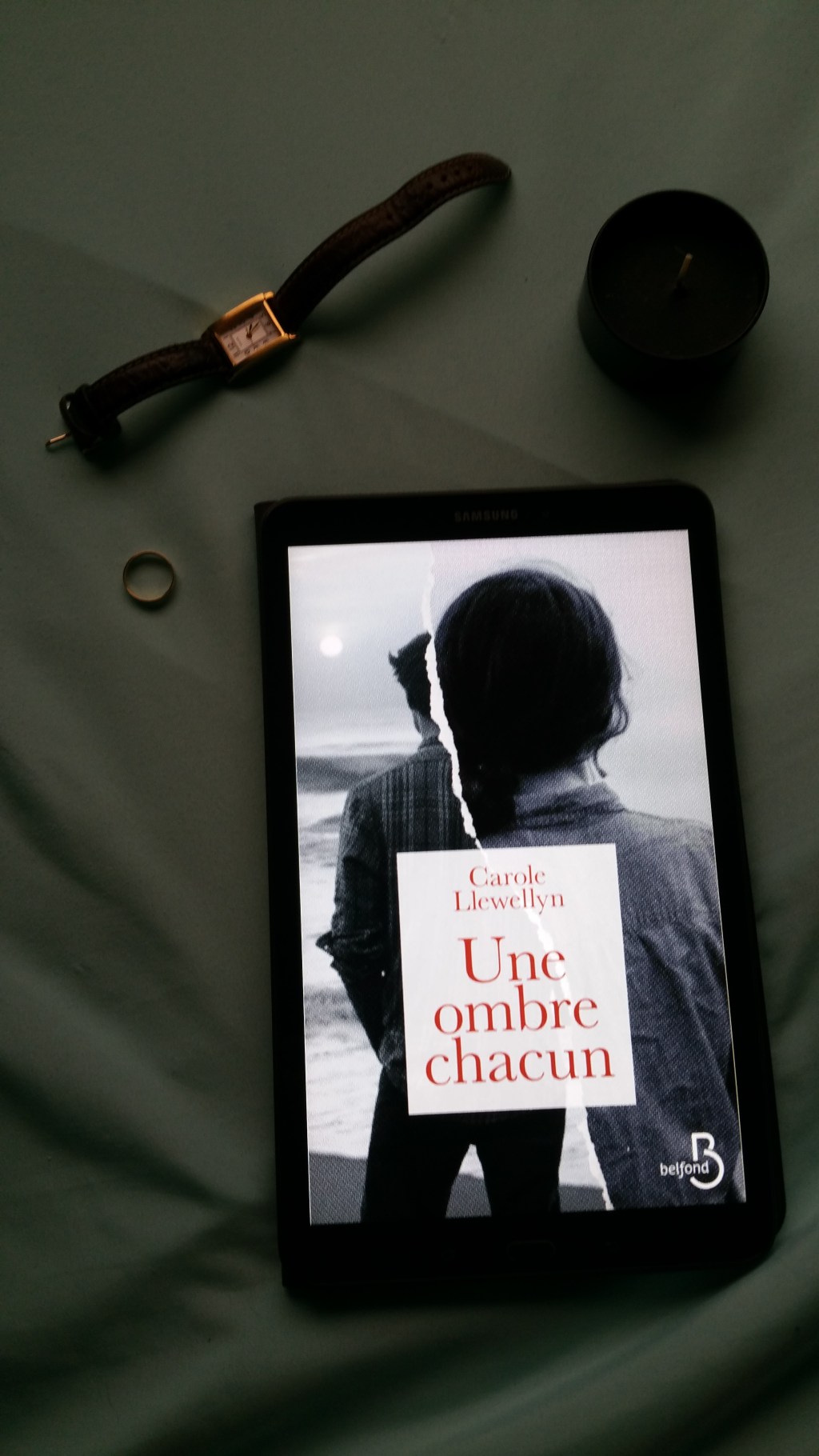 Une Ombre Chacun de Carole&nbsp;Llewellyn.