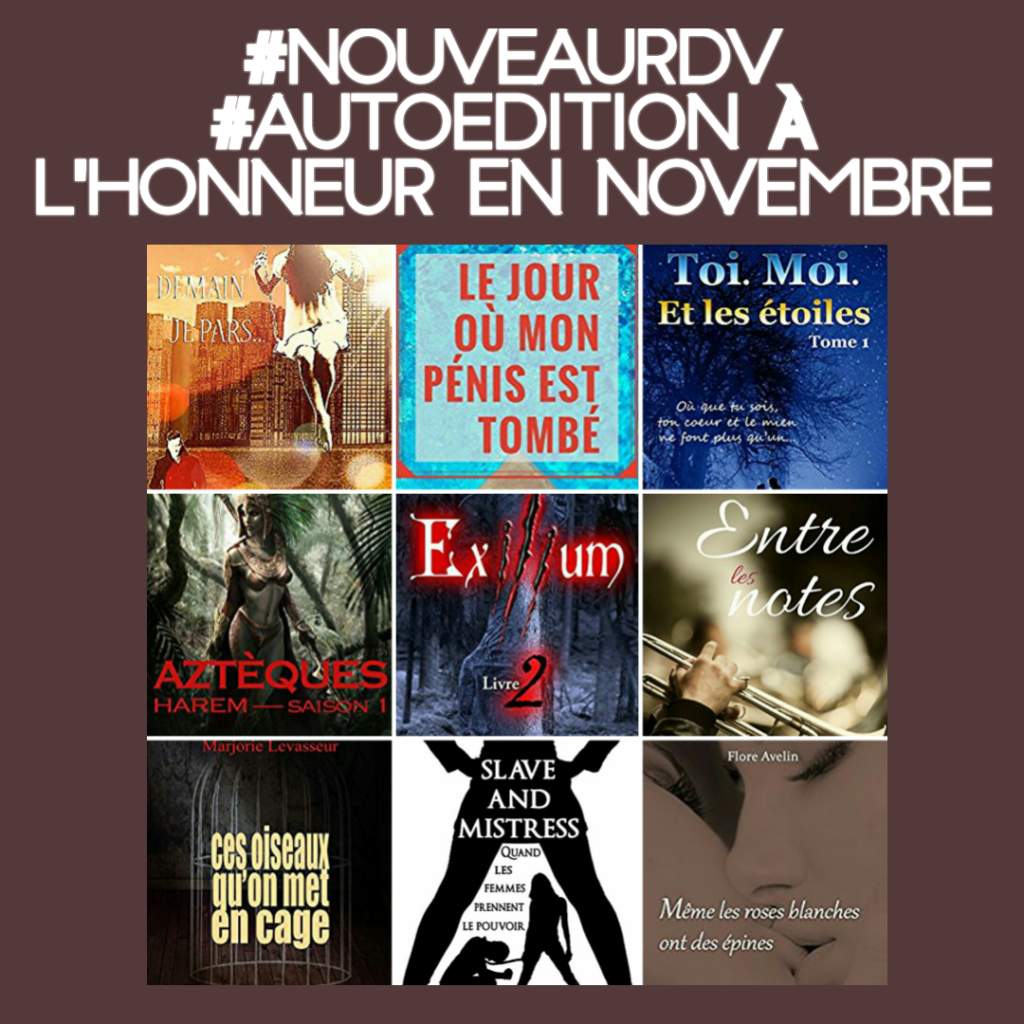 L&rsquo;auto-édition à l&rsquo;honneur en Novembre&nbsp;!