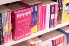 What is it : La Box Ebook&nbsp;?