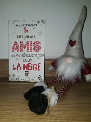 les vrais amis perso