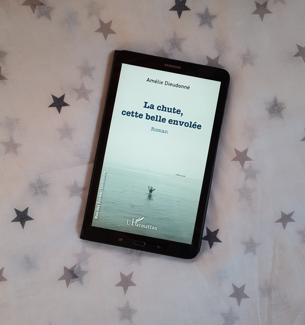 LA CHUTE, CETTE BELLE ENVOLÉE de Amélie&nbsp;Dieudonné.
