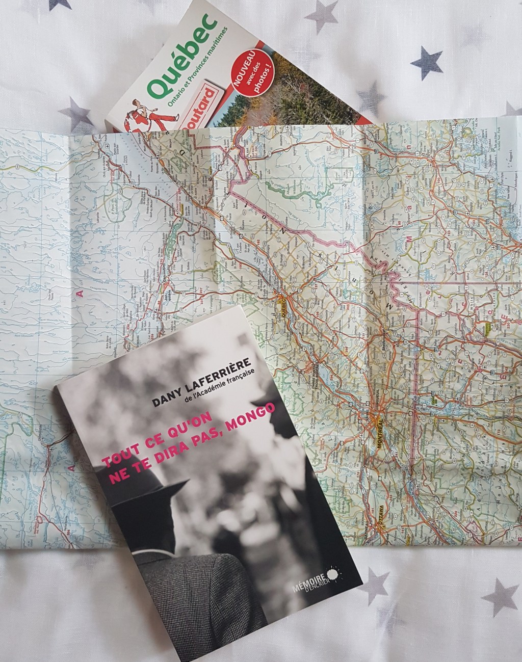 TOUT CE QU&rsquo;ON NE TE DIRA PAS, MONGO de Dany&nbsp;Laferrière.