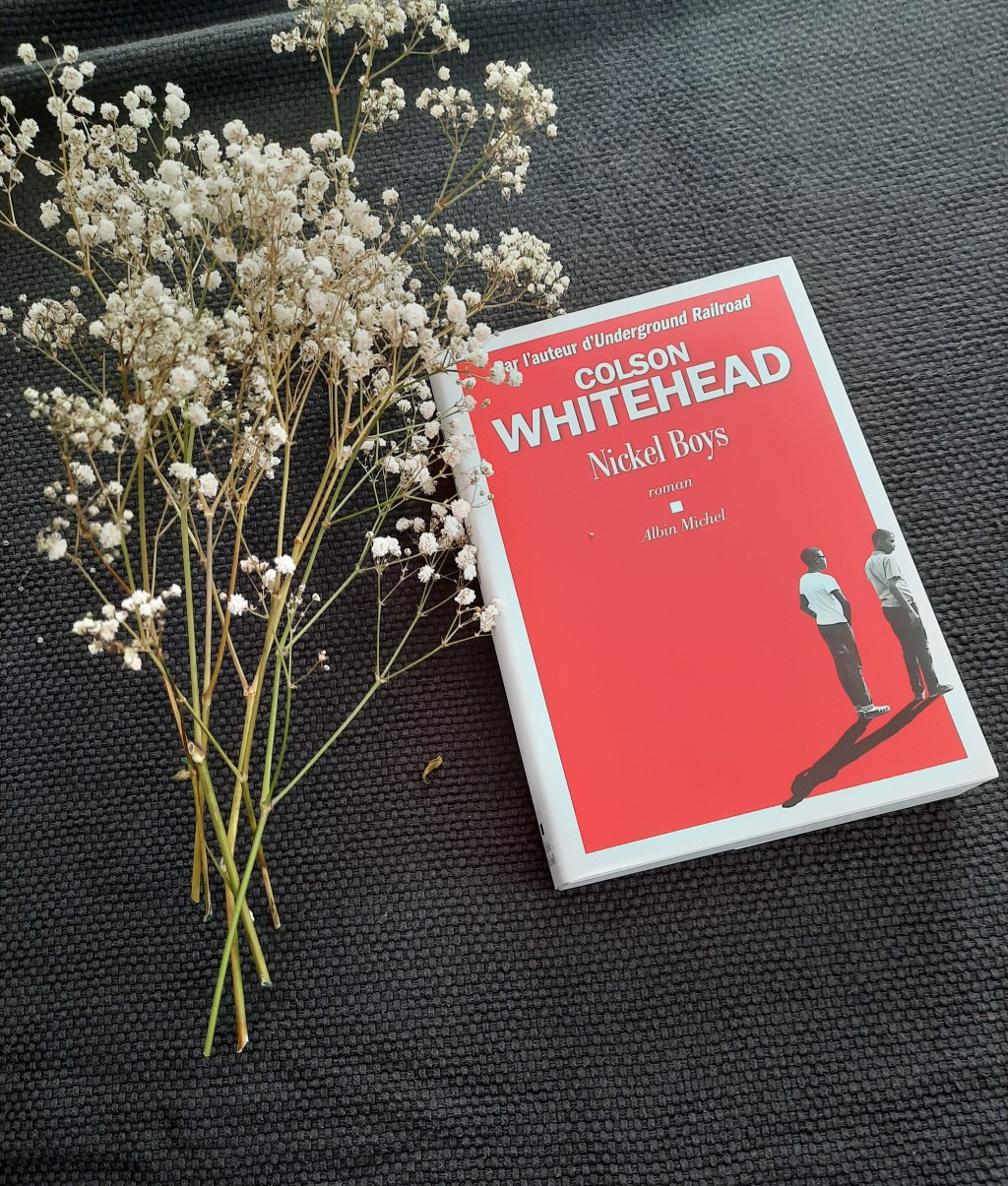 NICKEL BOYS, un roman poignant de Colson&nbsp;Whitehead.