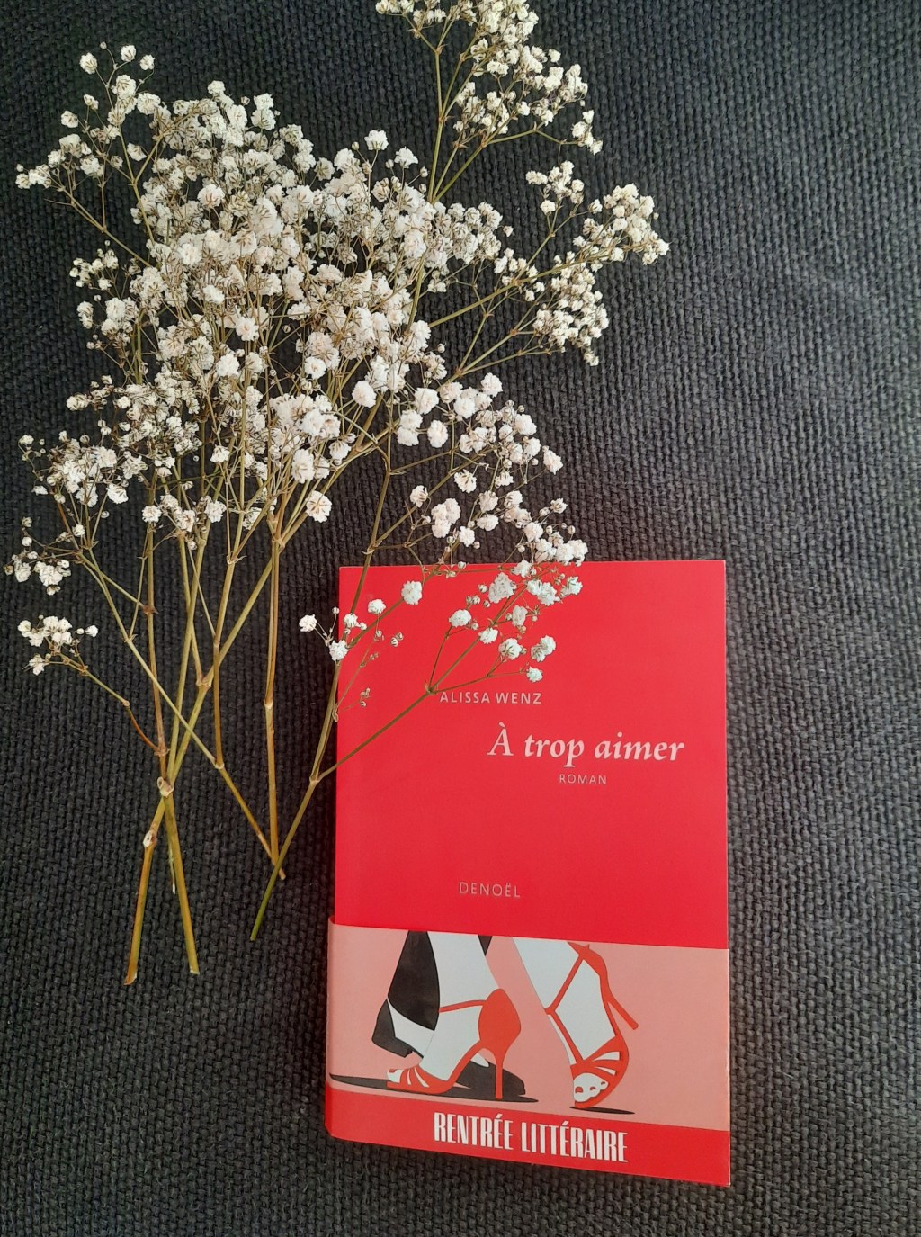 A TROP AIMER, un roman bouleversant de Alissa&nbsp;Wenz.