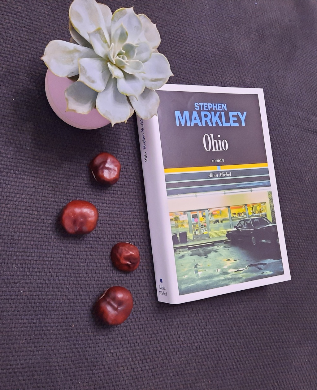 OHIO, un premier roman de Stephen Markley.
