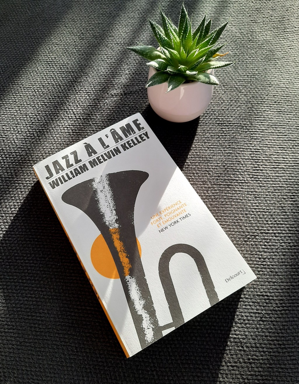 JAZZ A L&rsquo;ÂME, un roman de William Melvin&nbsp;Kelley.