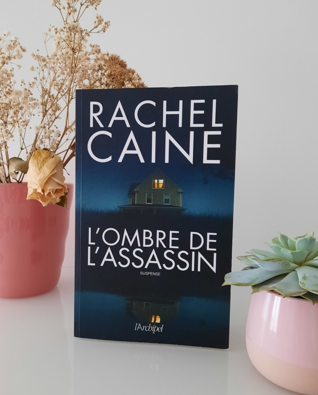 L’OMBRE DE L’ASSASSIN, un thriller de Rachel Caine.