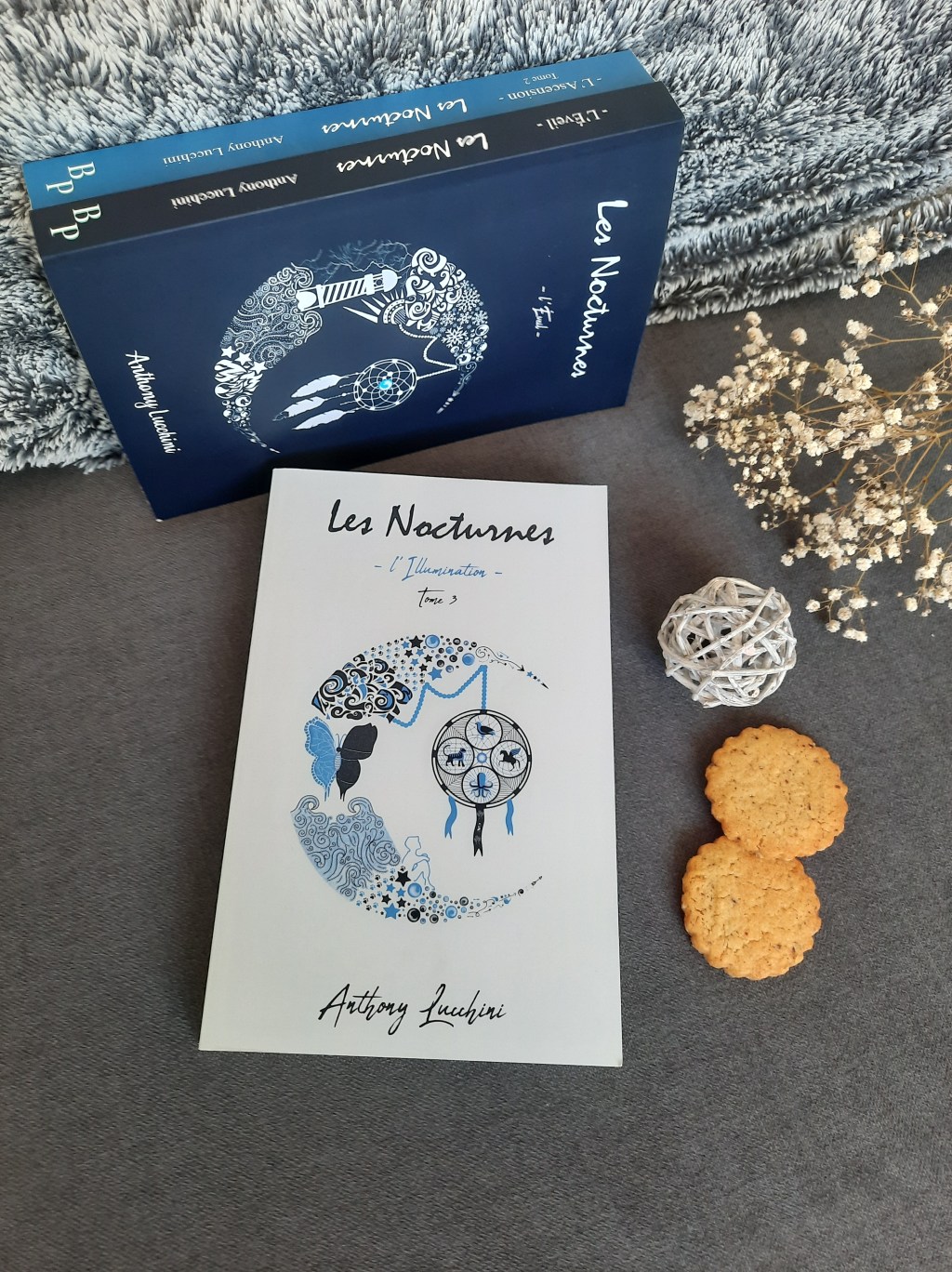 LES NOCTURNES, tome 3 : L&rsquo;illumination, un roman jeunesse et fantastique de Anthony&nbsp;Lucchini.