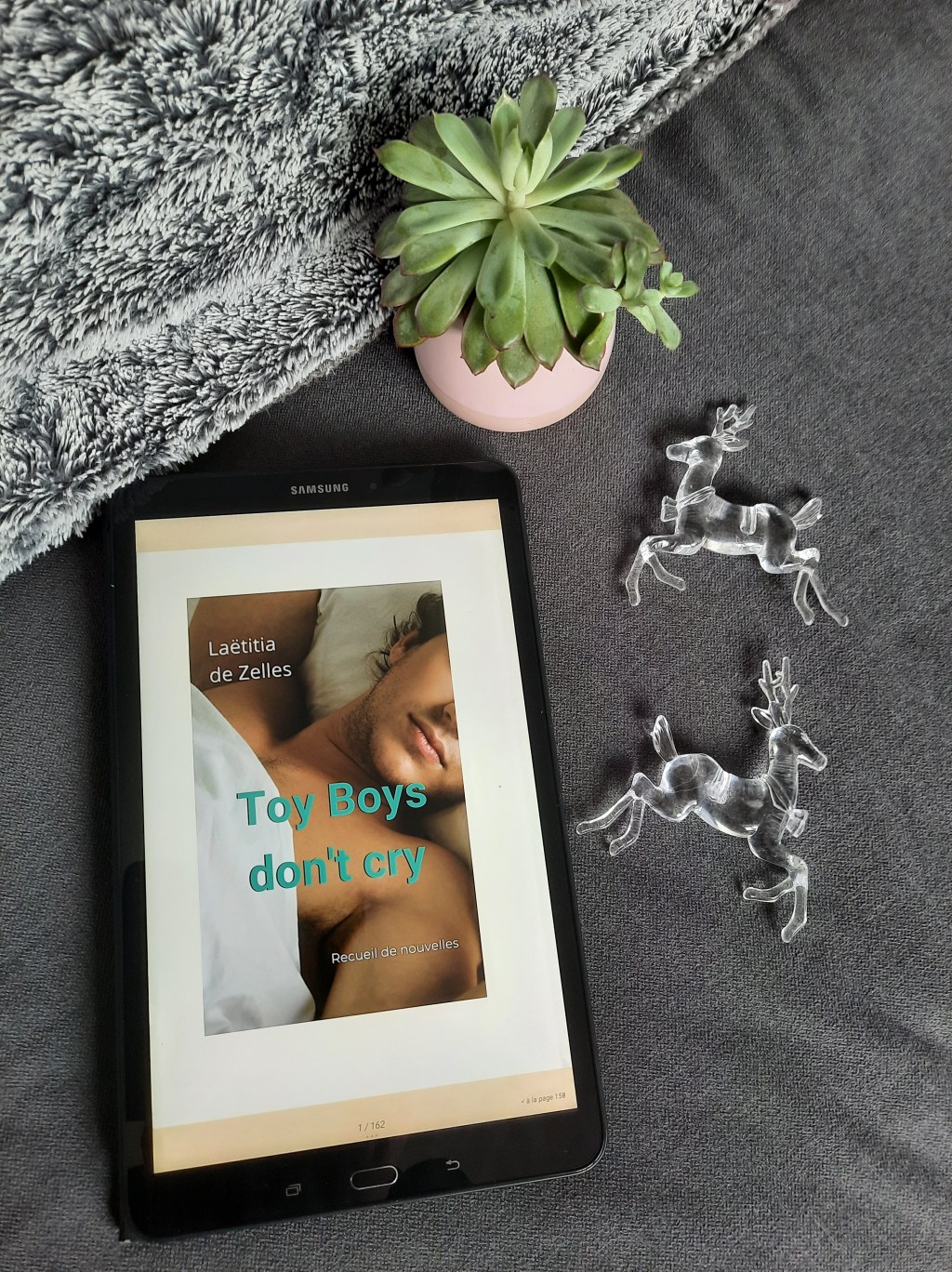 TOY BOYS DON&rsquo;T CRY, un recueil de nouvelles de Laetitia de&nbsp;Zelles.