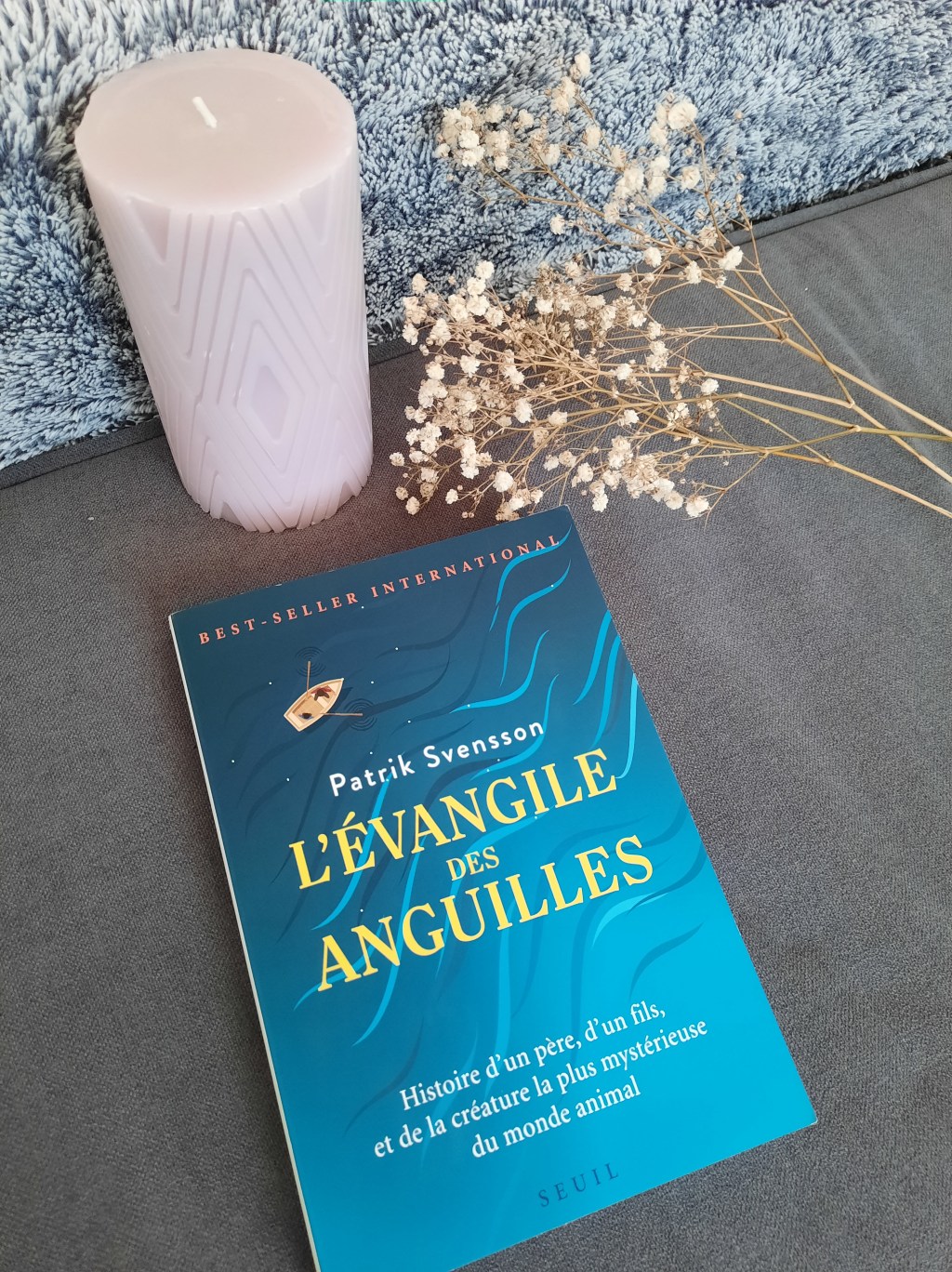 L’ÉVANGILE DES ANGUILLES, un premier roman de Patrik&nbsp;Svensson.
