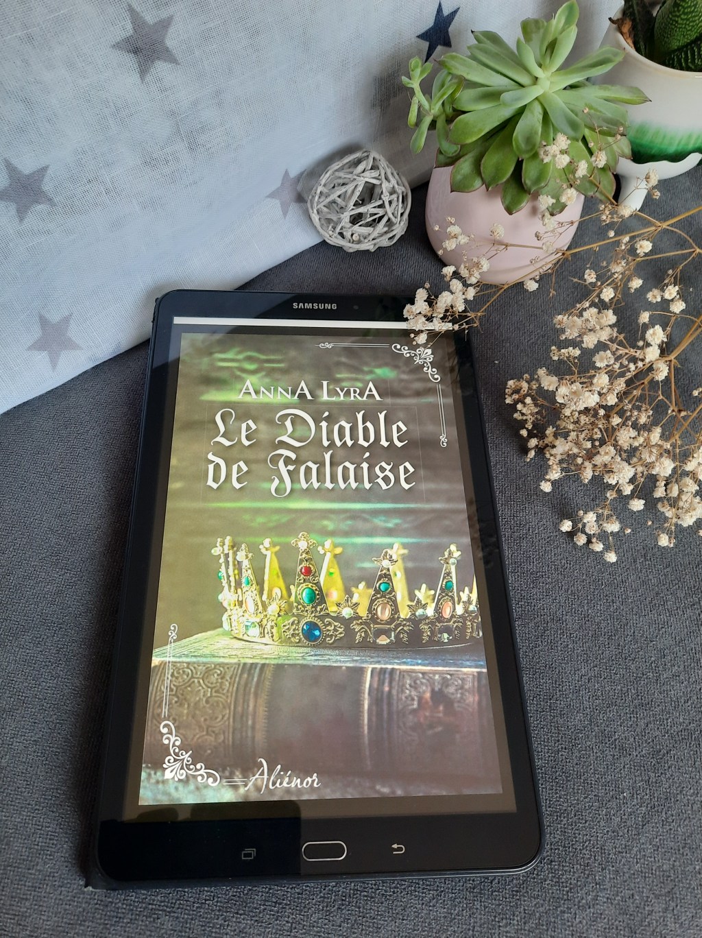 LE DIABLE DE FALAISE, une romance historique de Anna&nbsp;Lyra.