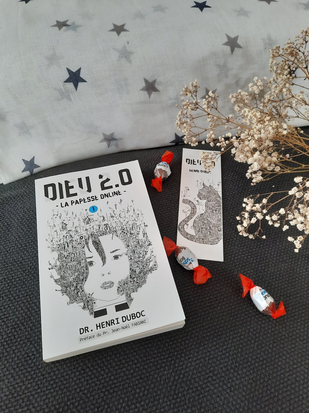 DIEU 2.0, tome 1 : La Papesse Online, un roman d&rsquo;anticipation de Henri&nbsp;Duboc.