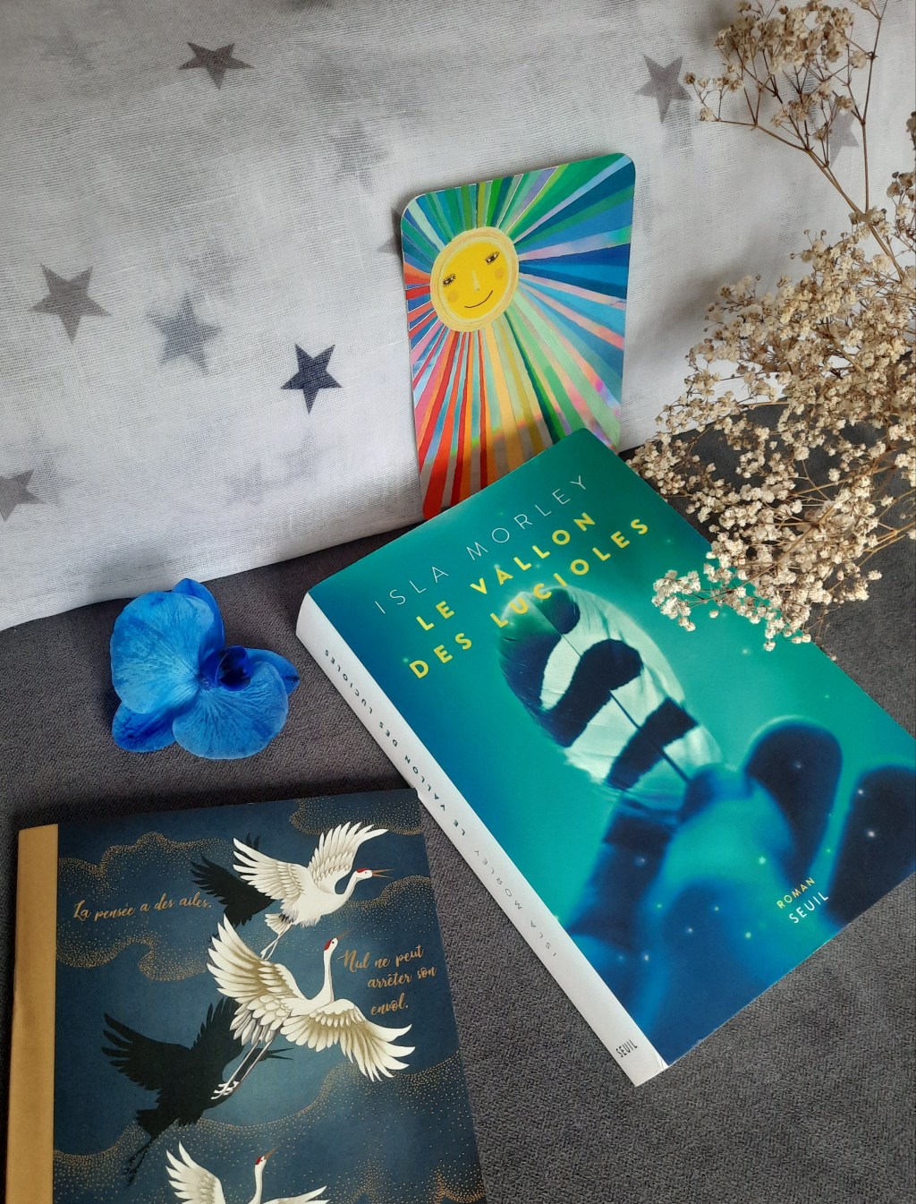 LE VALLON DES LUCIOLES, un roman de Isla&nbsp;Morley.