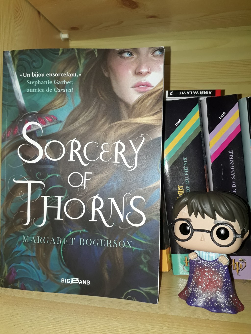 Sorcery of Thorns de Margaret&nbsp;Rogerson