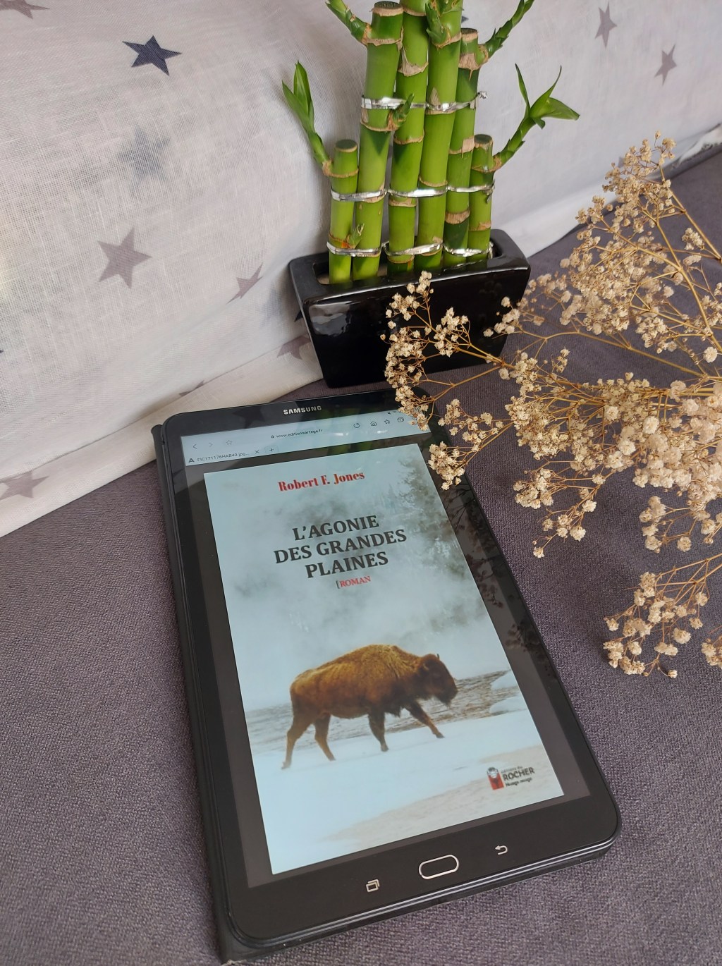 L&rsquo;AGONIE DES GRANDES PLAINES, un roman de Robert F.&nbsp;Jones