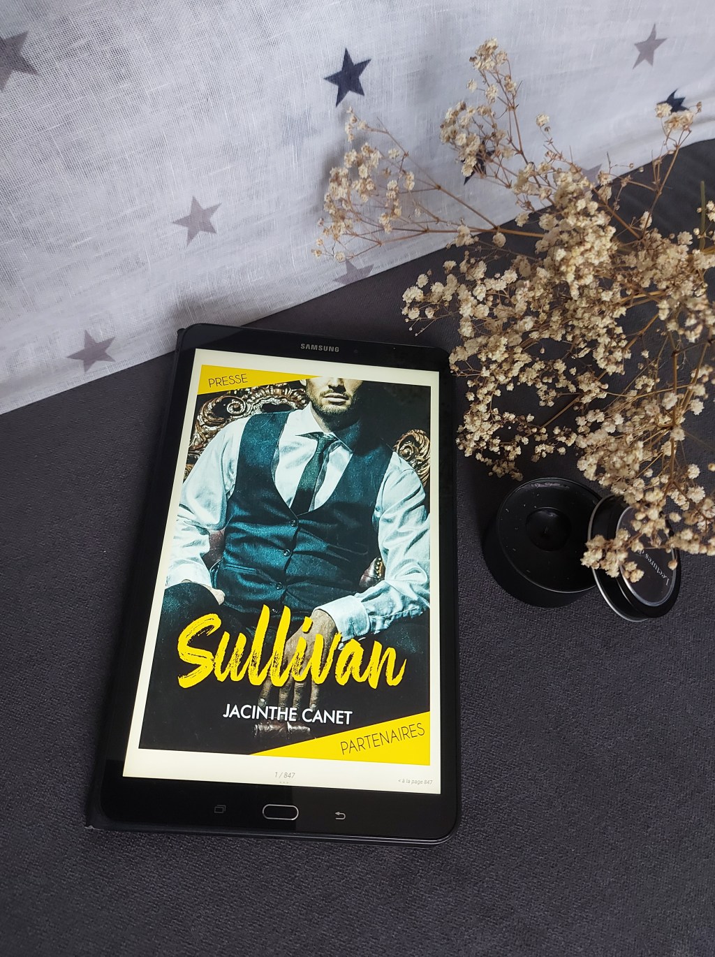 SULLIVAN, une romance de Jacinthe&nbsp;Canet.