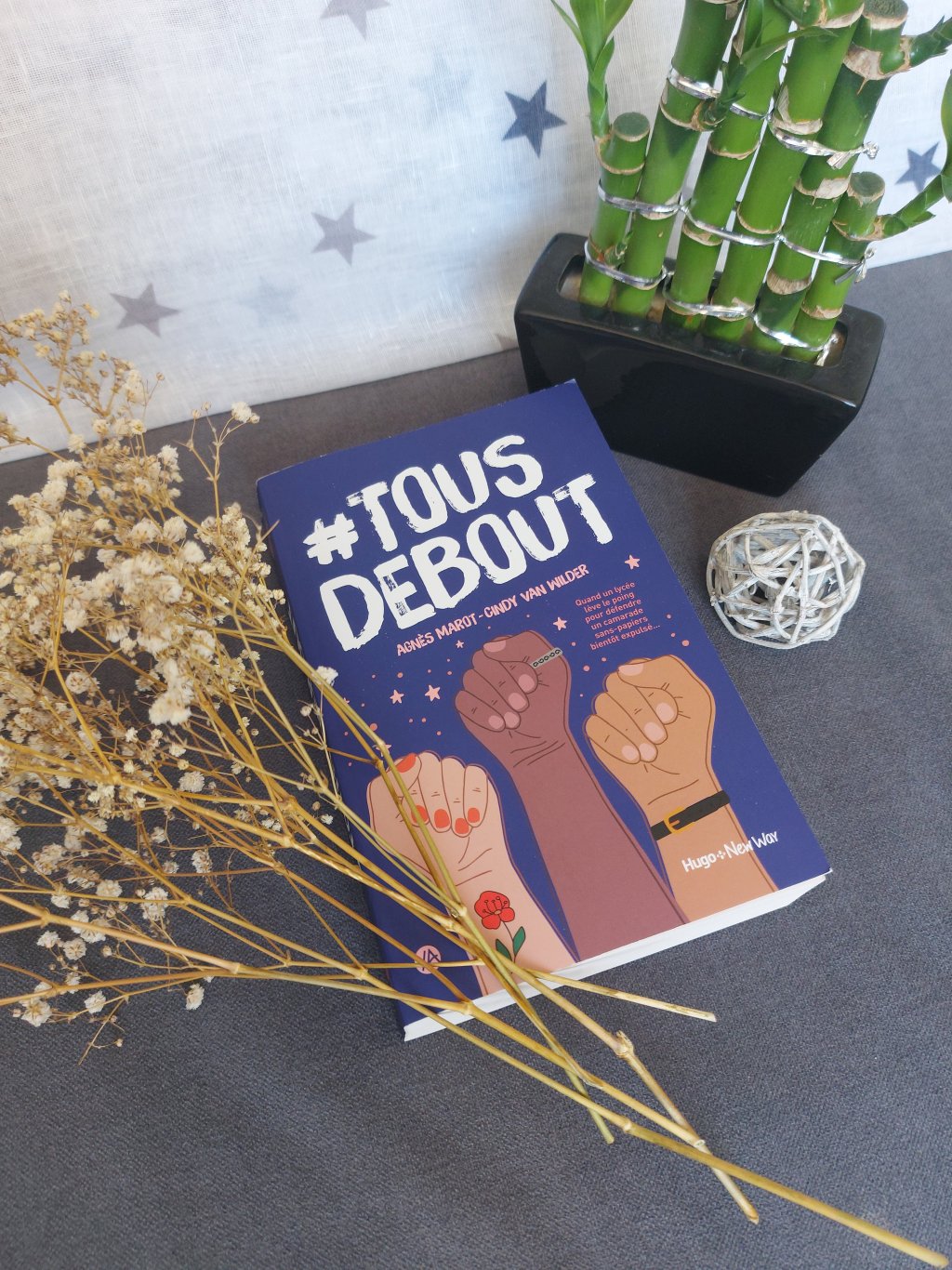 #TOUSDEBOUT, un roman ado de Agnès Marot et de Cindy Van&nbsp;Wilder.