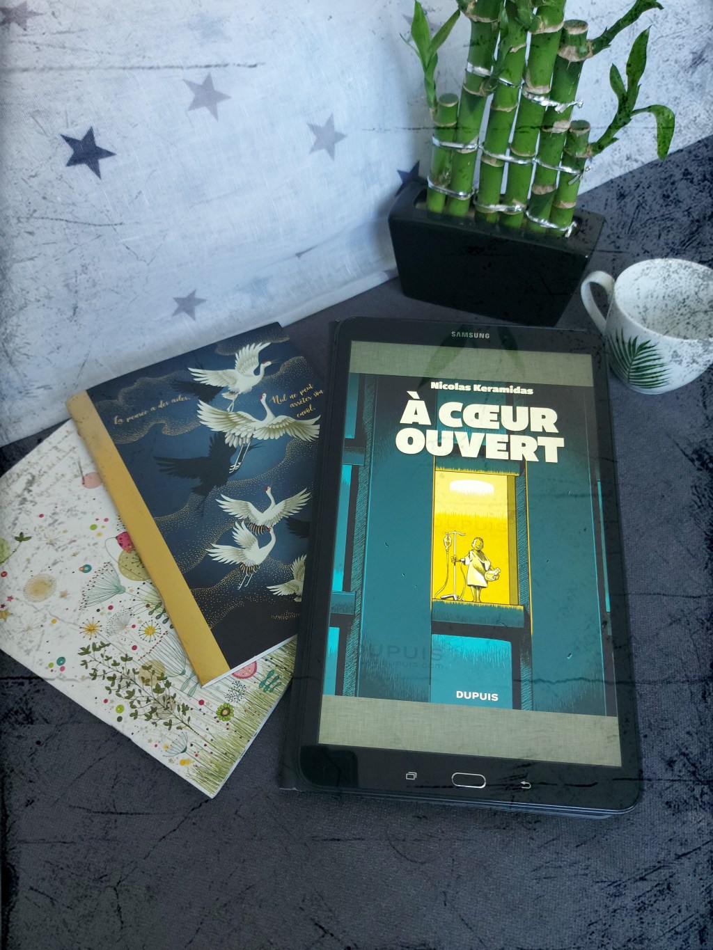 À CŒUR OUVERT, une bande dessinée de Nicolas&nbsp;Keramidas.