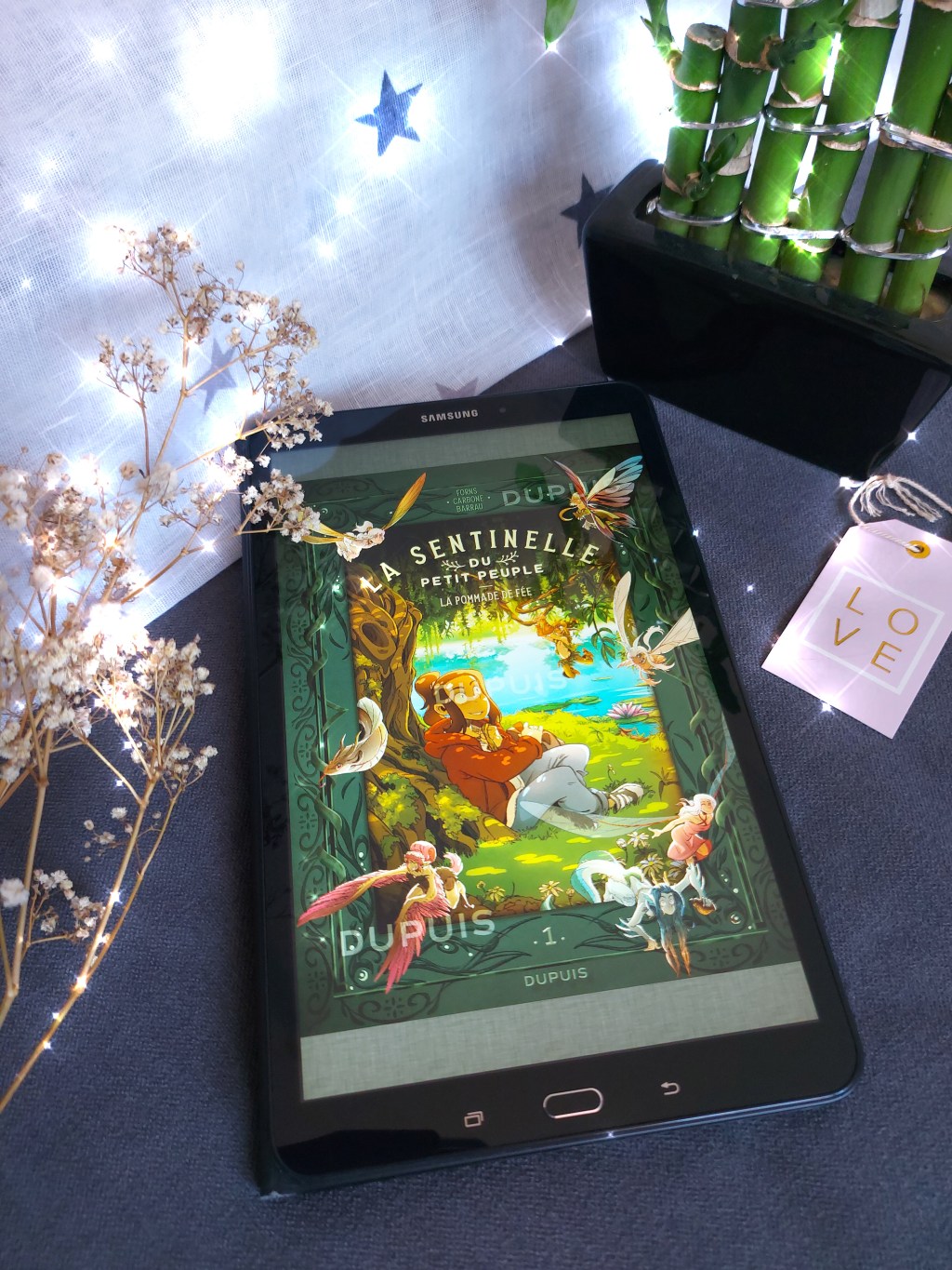 LA SENTINELLE DU PETIT PEUPLE, tome 1 : La pommade de fée, une bande dessinée de  Forns, Carbone et&nbsp;Barrau.