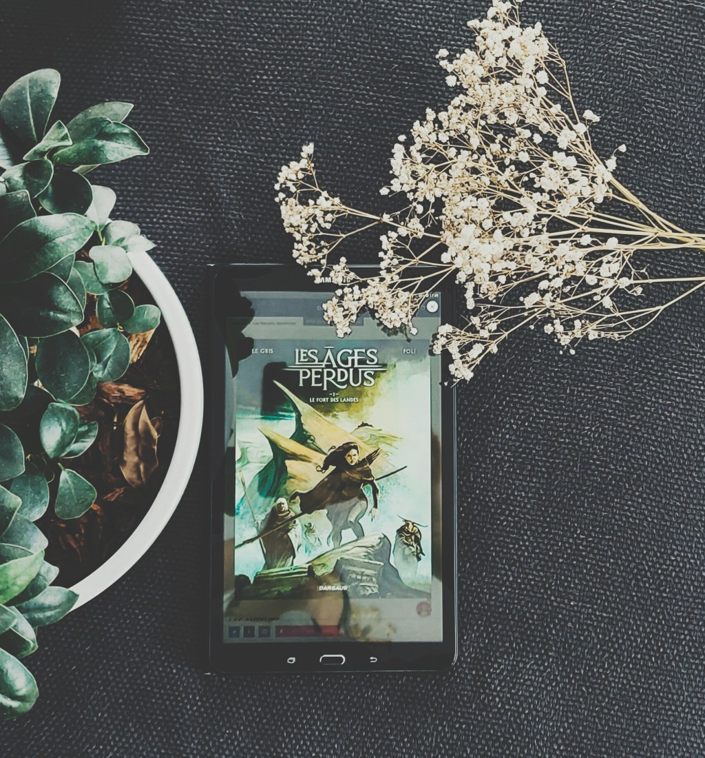 LES ÂGES PERDUS, tome 1 : Le fort des Landes, une bande dessinée de Le Gris et&nbsp;Poli.