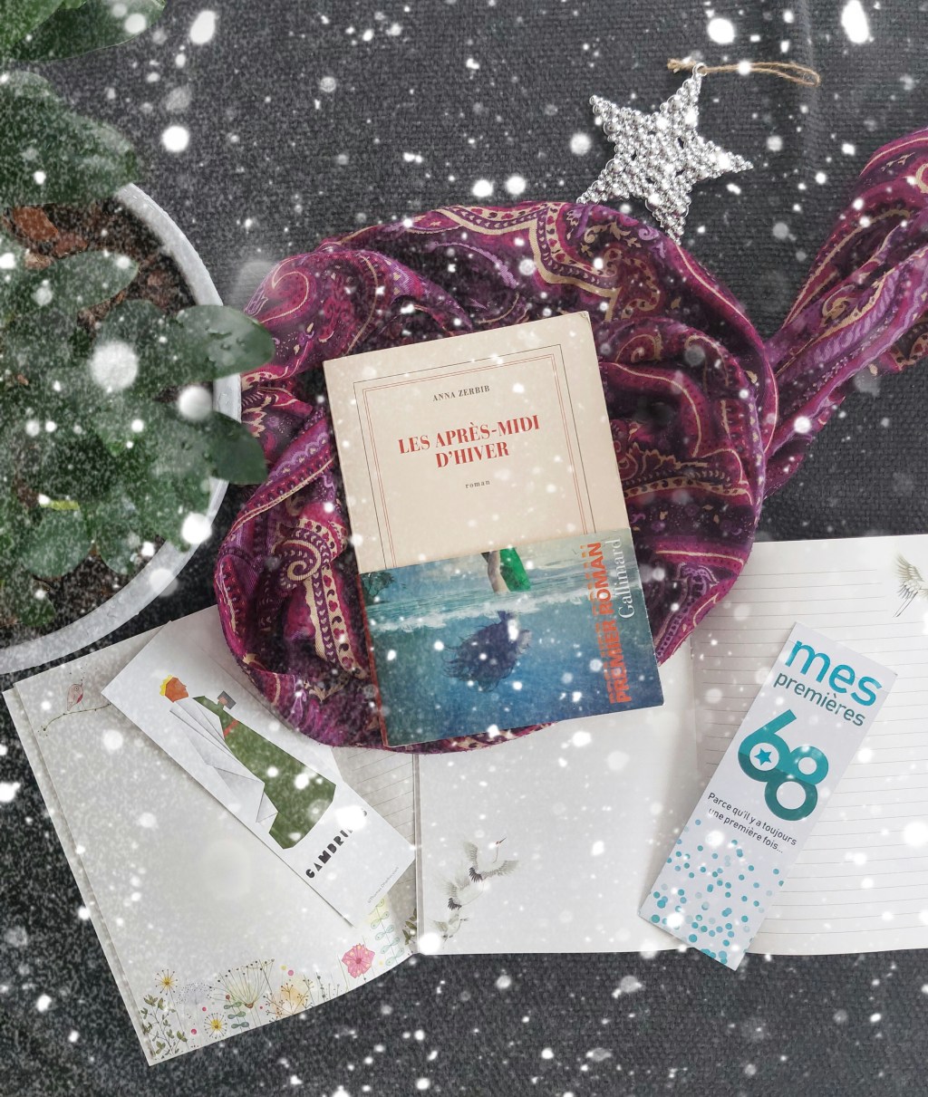 LES APRÈS-MIDI D&rsquo;HIVER, un roman de Anna&nbsp;Zerbib.