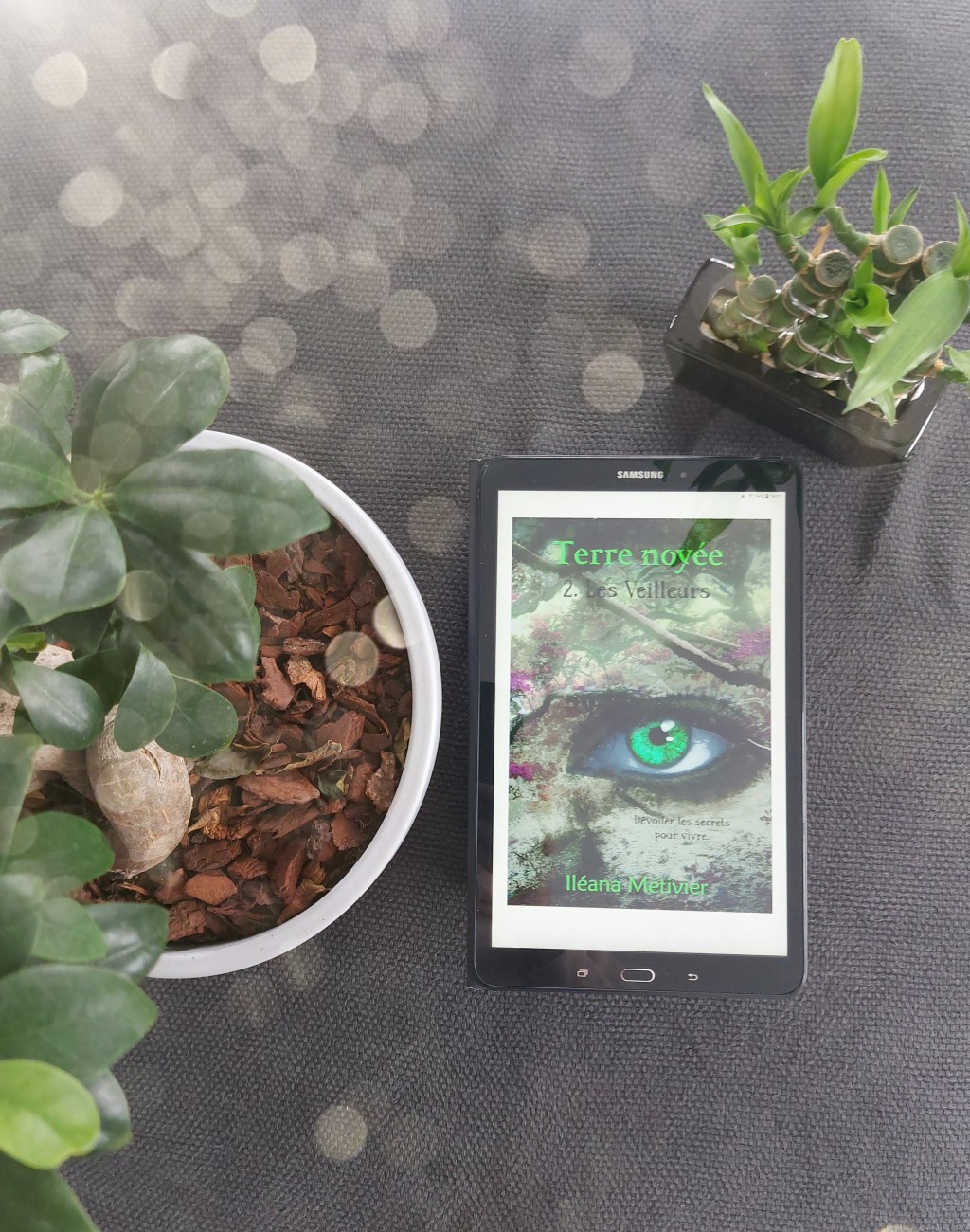 TERRE NOYÉE, tome 2 : Les Veilleurs, un roman fantastique de Iléana&nbsp;Métivier.