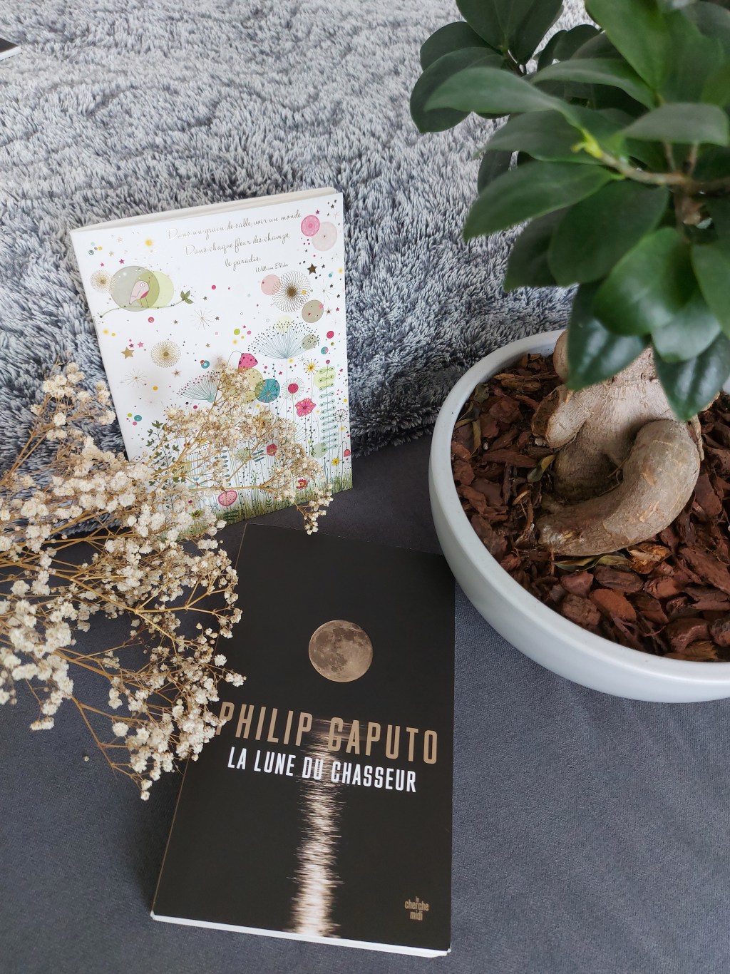 LA LUNE DU CHASSEUR, un roman de Philip&nbsp;Caputo.