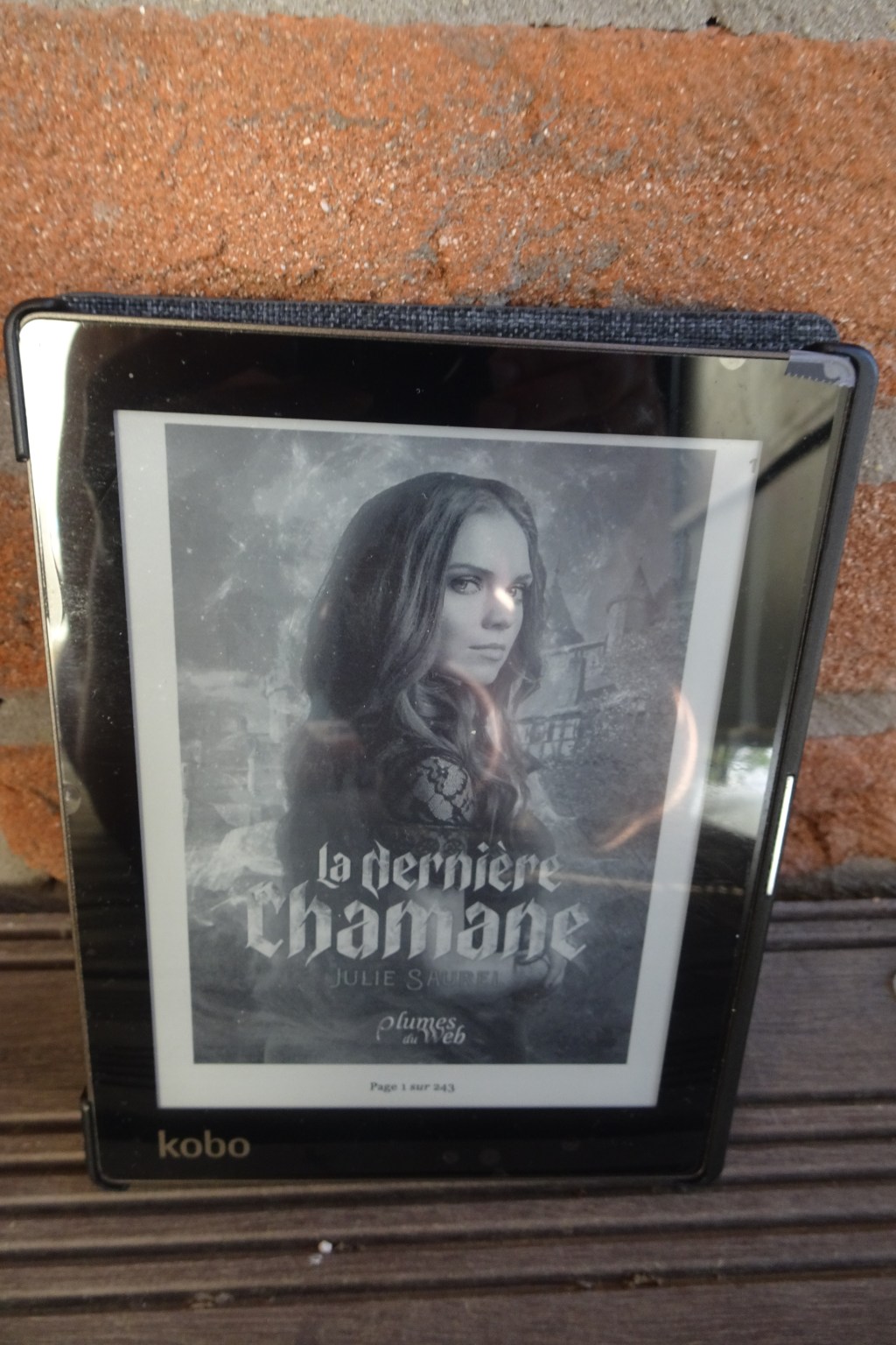 La dernière chamane de Julie&nbsp;Saurel