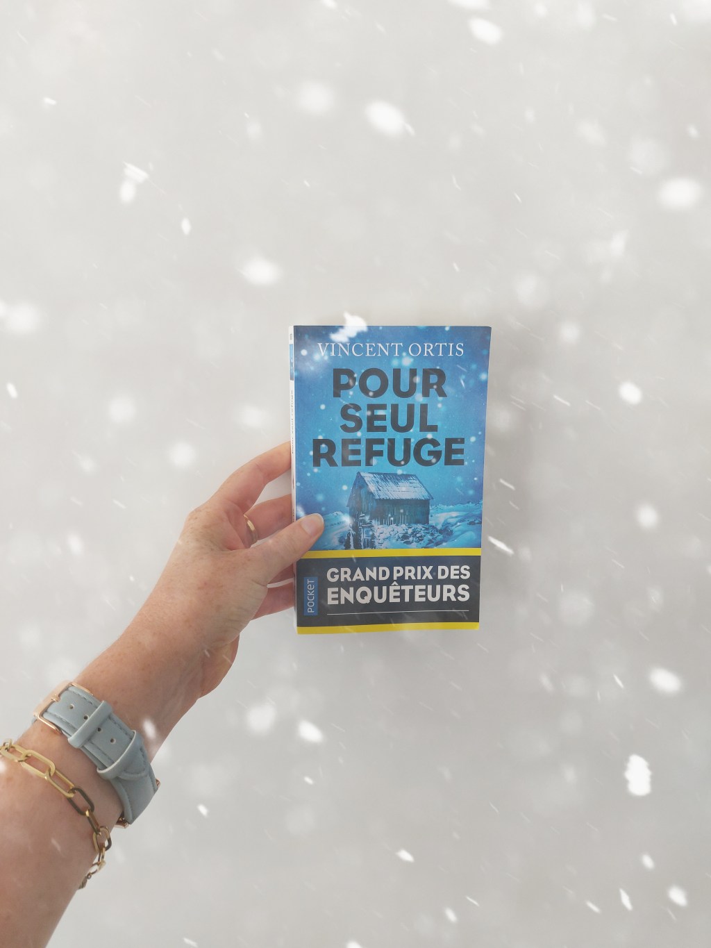 POUR SEUL REFUGE, un polar de Vincent&nbsp;Ortis.