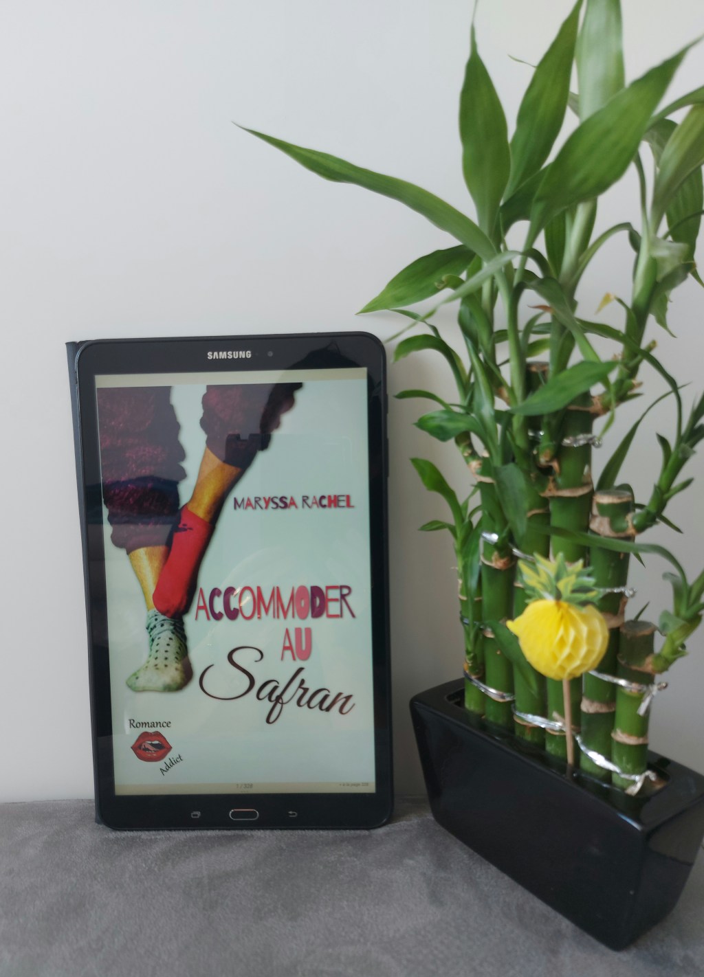 ACCOMMODER AU SAFRAN, une romance de Maryssa&nbsp;Rachel.