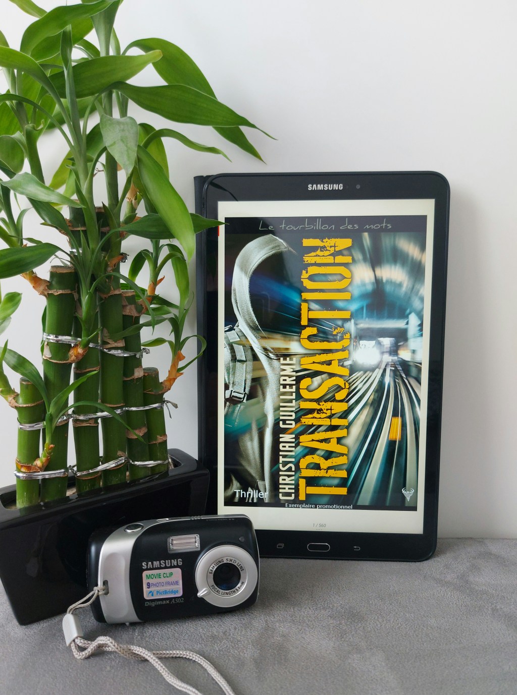 TRANSACTION, un thriller de Christian Guillerme.