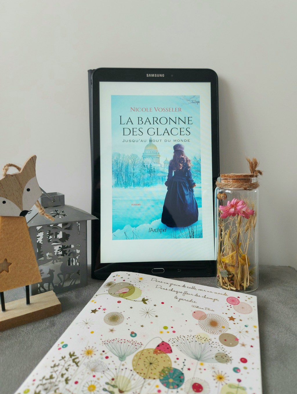 LA BARONNE DES GLACES, un roman de Nicole&nbsp;Vosseler.