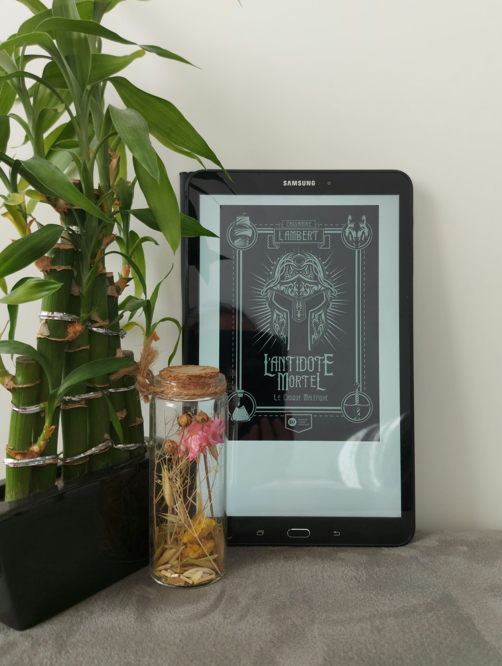 L&rsquo;ANTIDOTE MORTEL, tome 2 : Le casque maléfique, un roman fantasy de Cassandre&nbsp;Lambert.