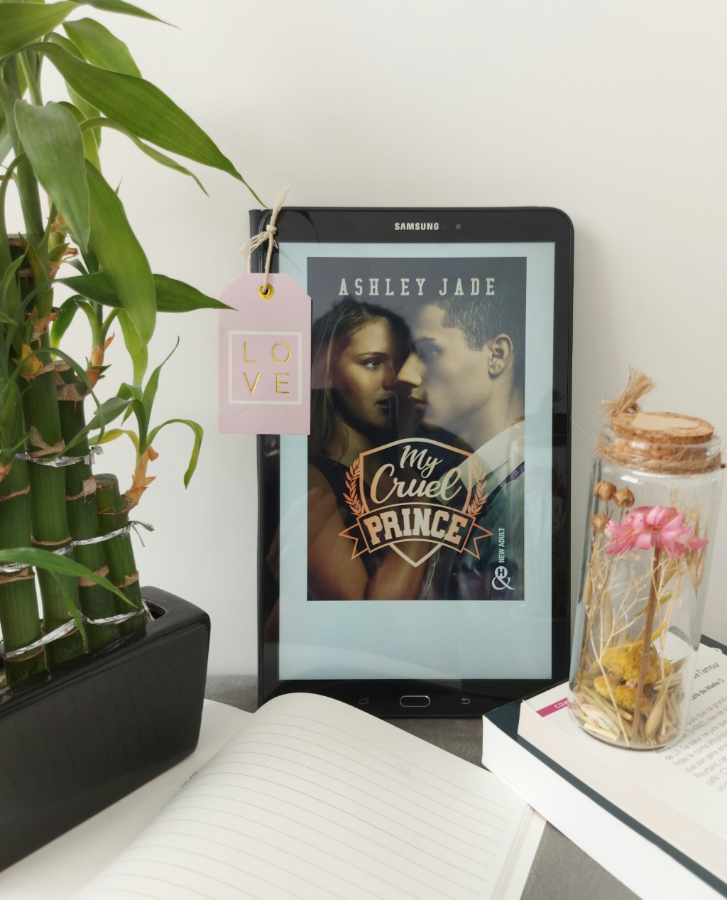 MY CRUEL PRINCE, une romance de Ashey&nbsp;Jade.