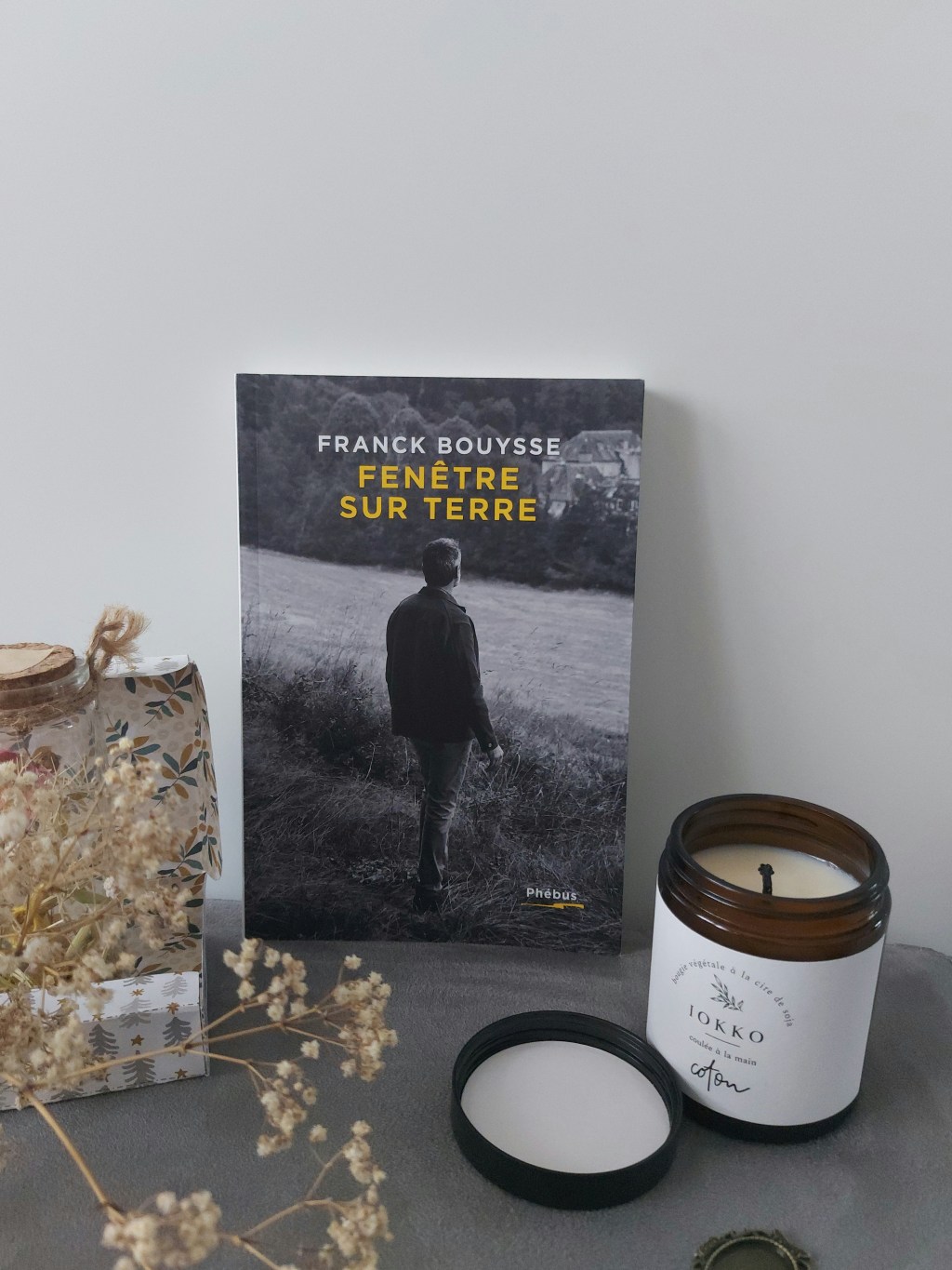 FENÊTRE SUR TERRE, un recueil de poésie de Franck&nbsp;Bouysse.