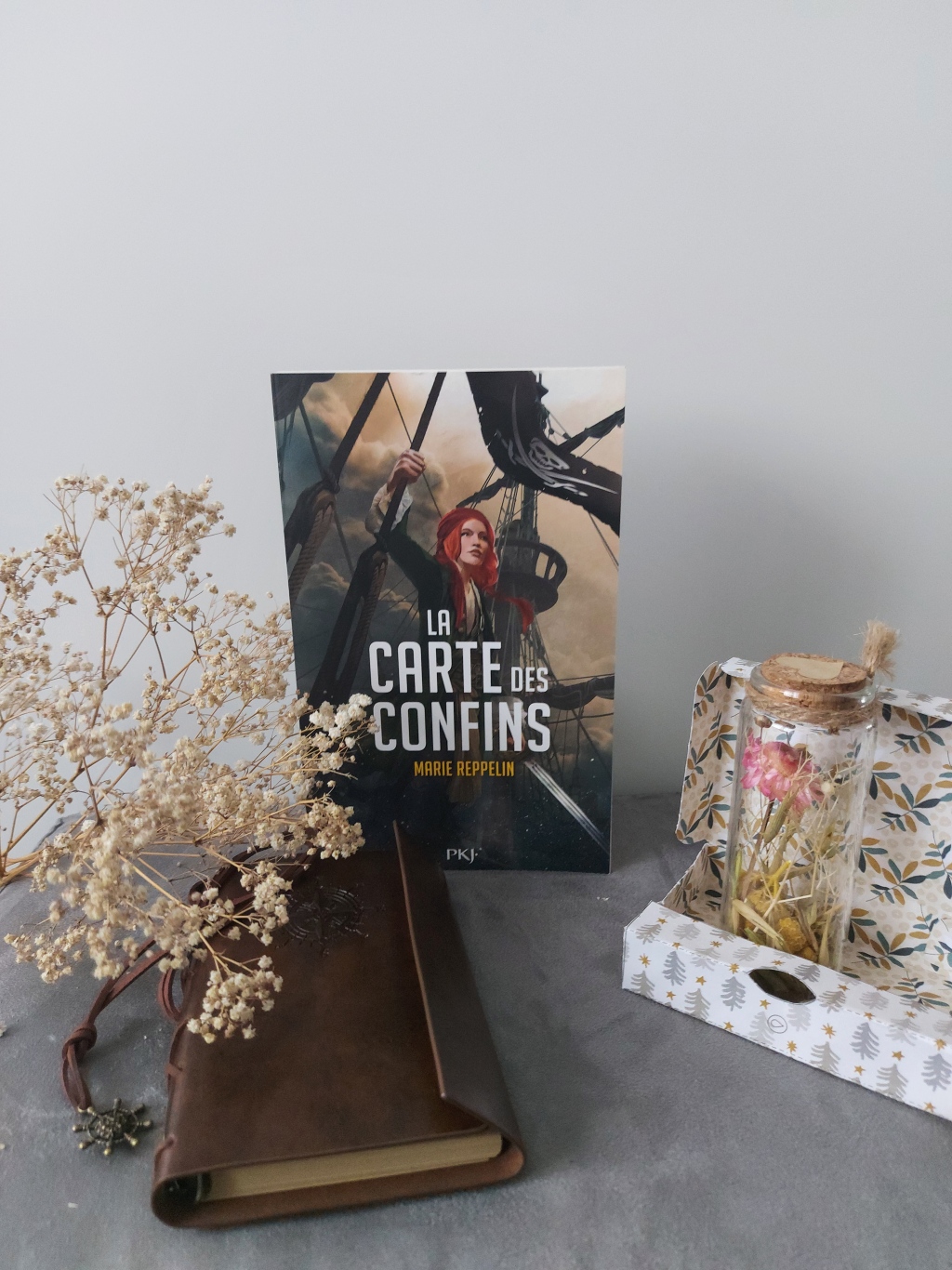 LA CARTE DES CONFINS, un roman de fantasy de Marie Reppelin.