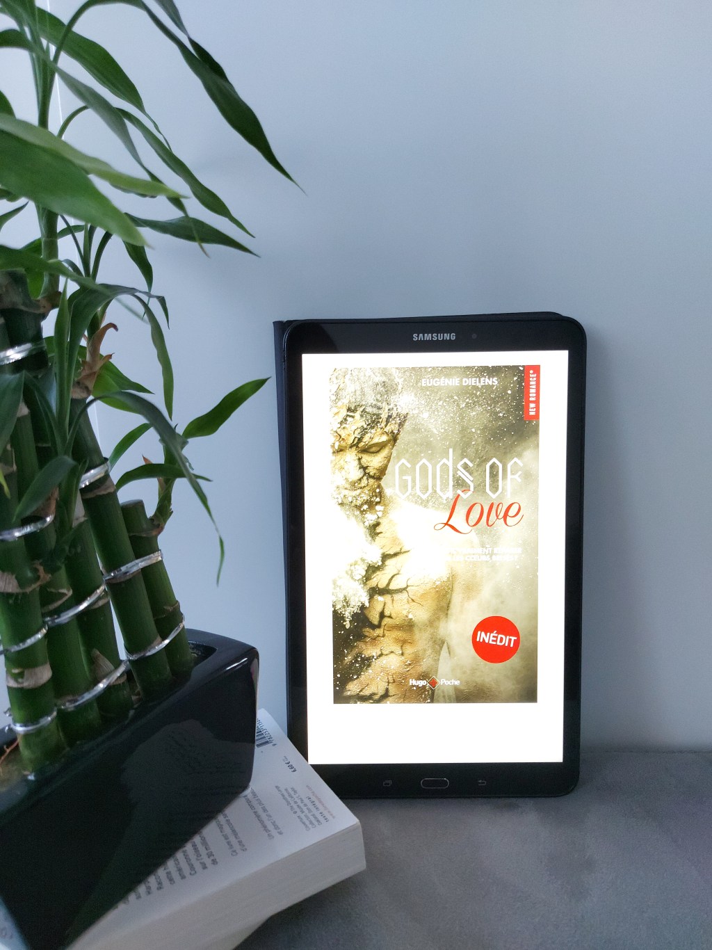 GODS OF LOVE, une romance de Eugénie&nbsp;Dielens.