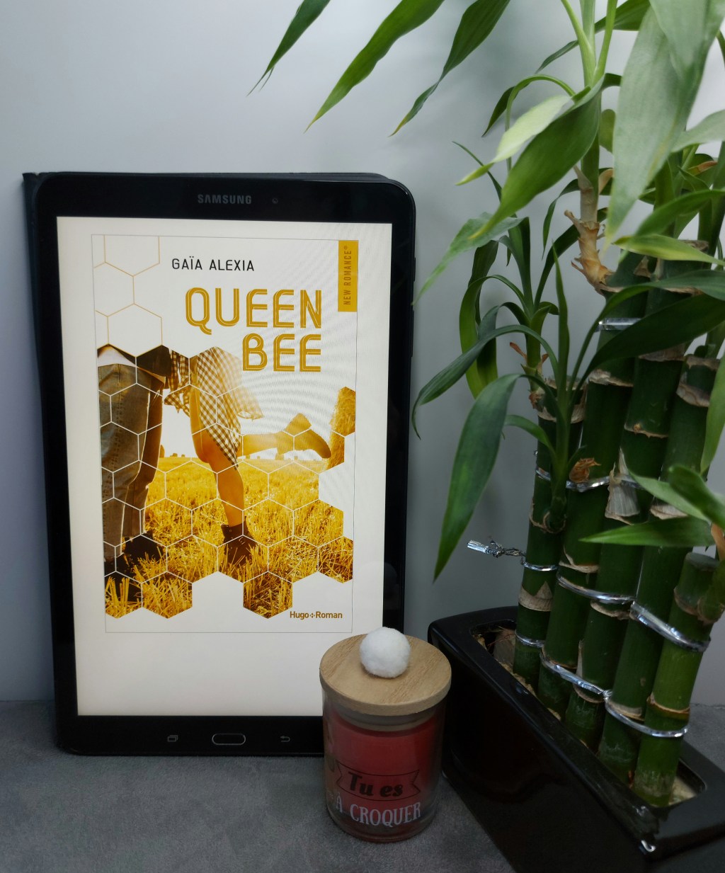 QUEEN BEE, une romance de Gaïa&nbsp;Alexia.