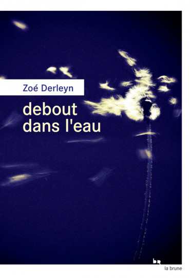 DEBOUT DANS L&rsquo;EAU, un roman de Zoé&nbsp;Derleyn.