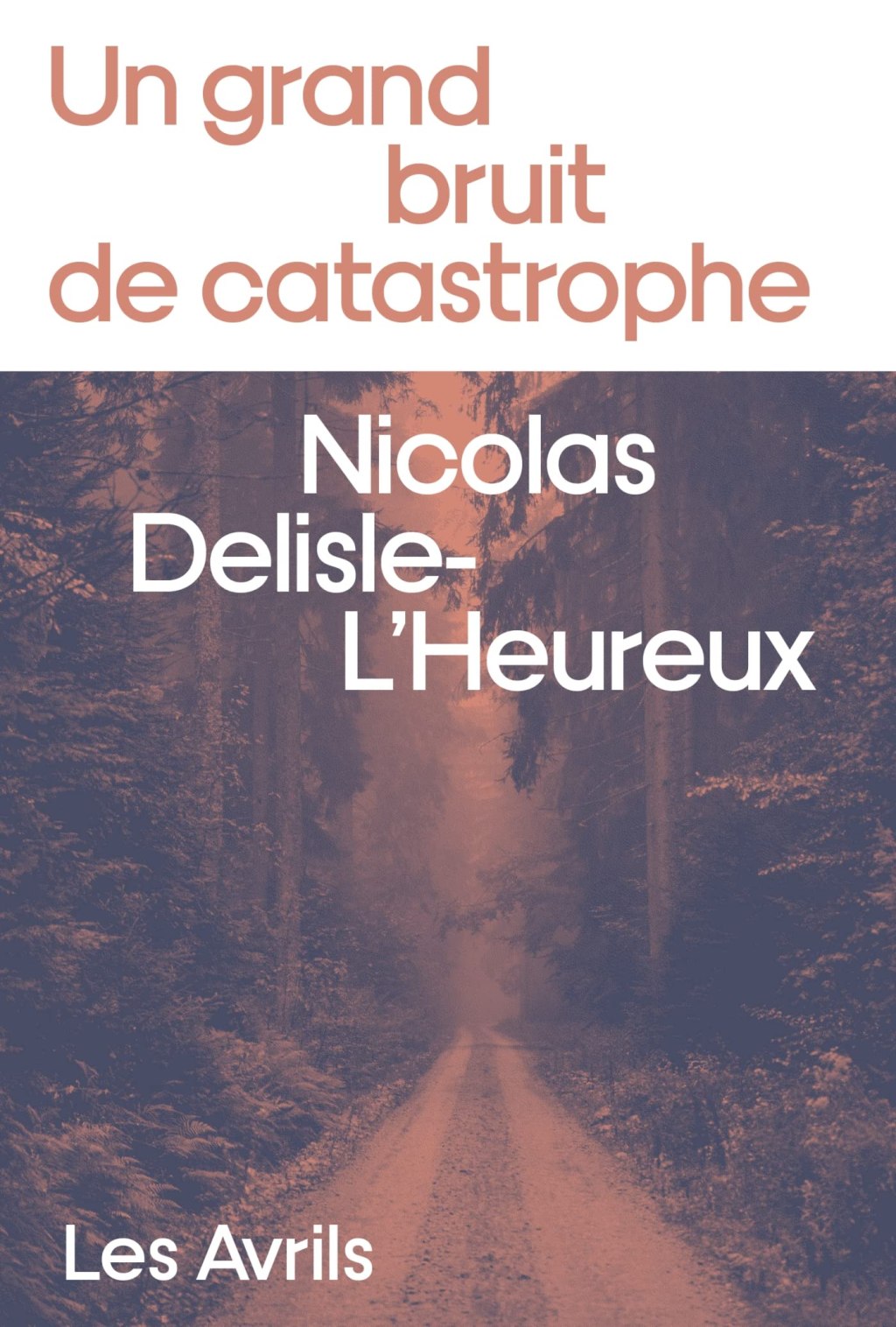 UN GRAND BRUIT DE CATASTROPHE, un roman de Nicolas Delisle-L&rsquo;Heureux.