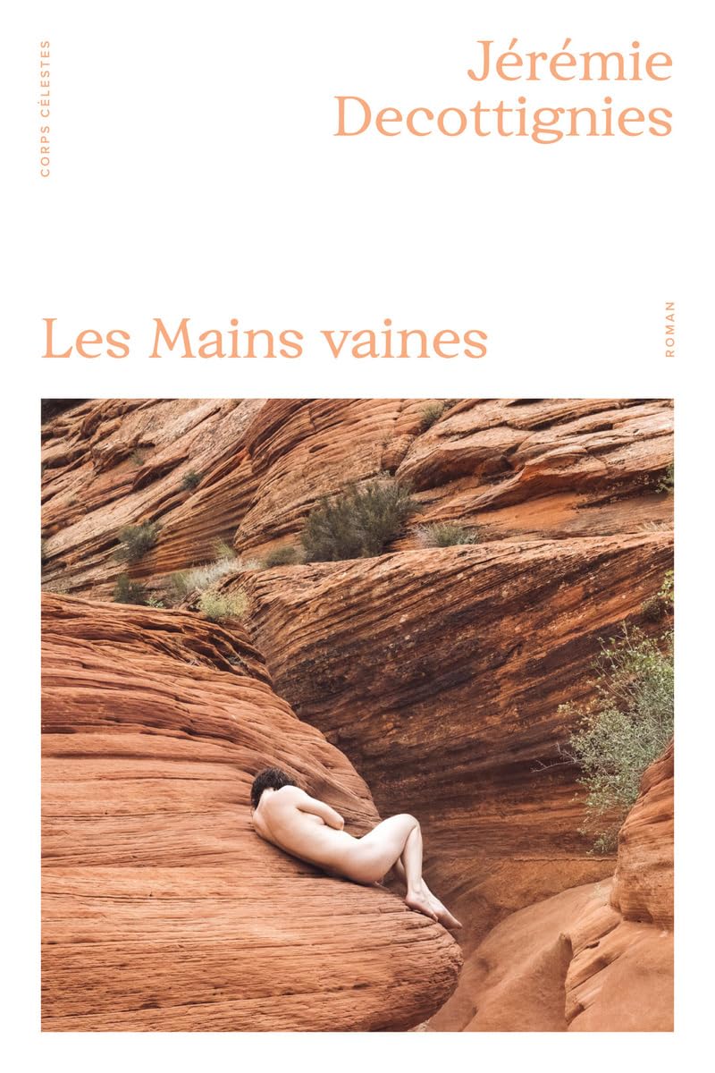 LES MAINS VAINES, un roman de Jérémie Decottignies.
