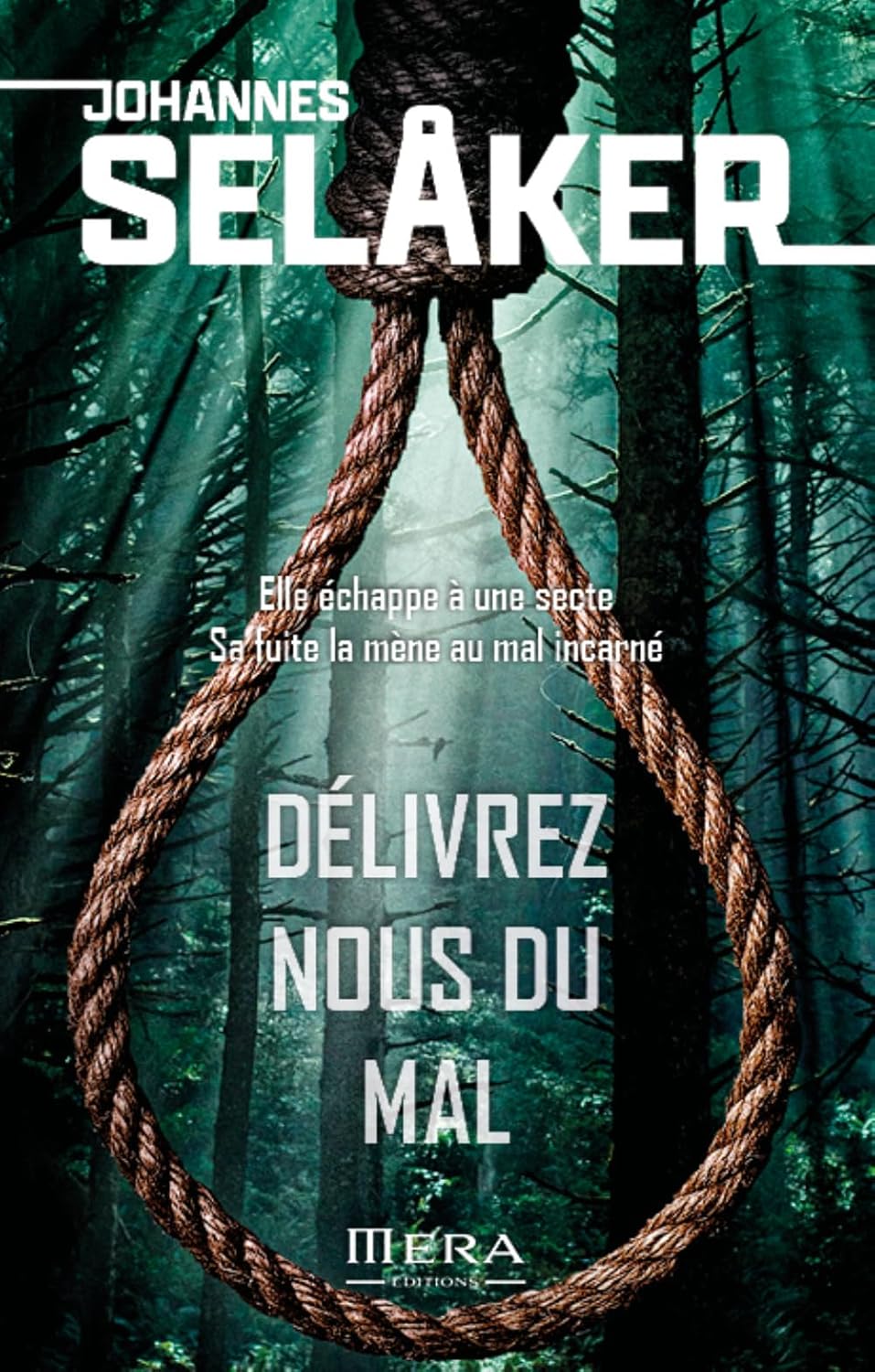 DÉLIVREZ NOUS DU MAL, un thriller de Johannes Selaker.