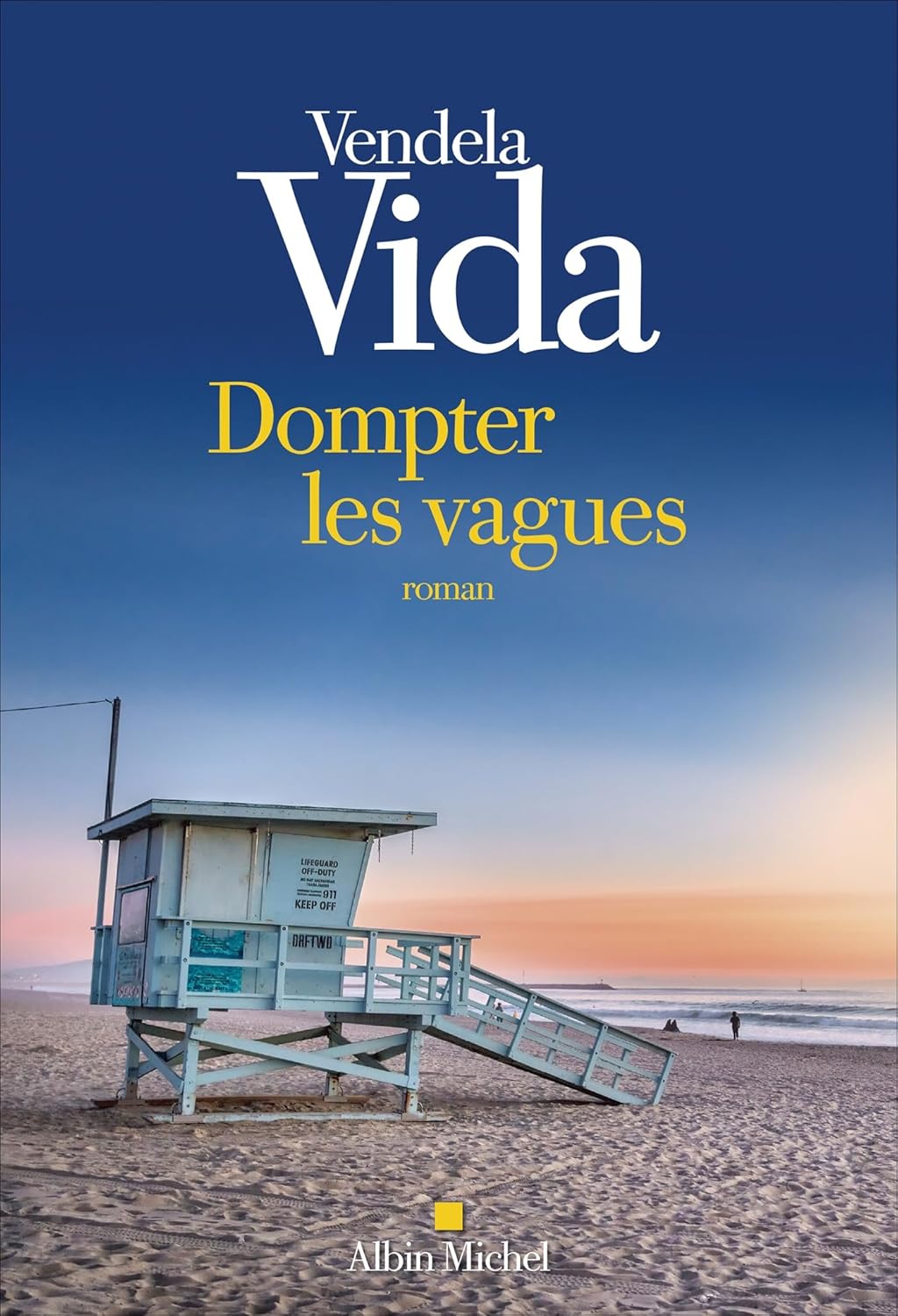 DOMPTER LES VAGUES, un roman de Vendela&nbsp;Vida.