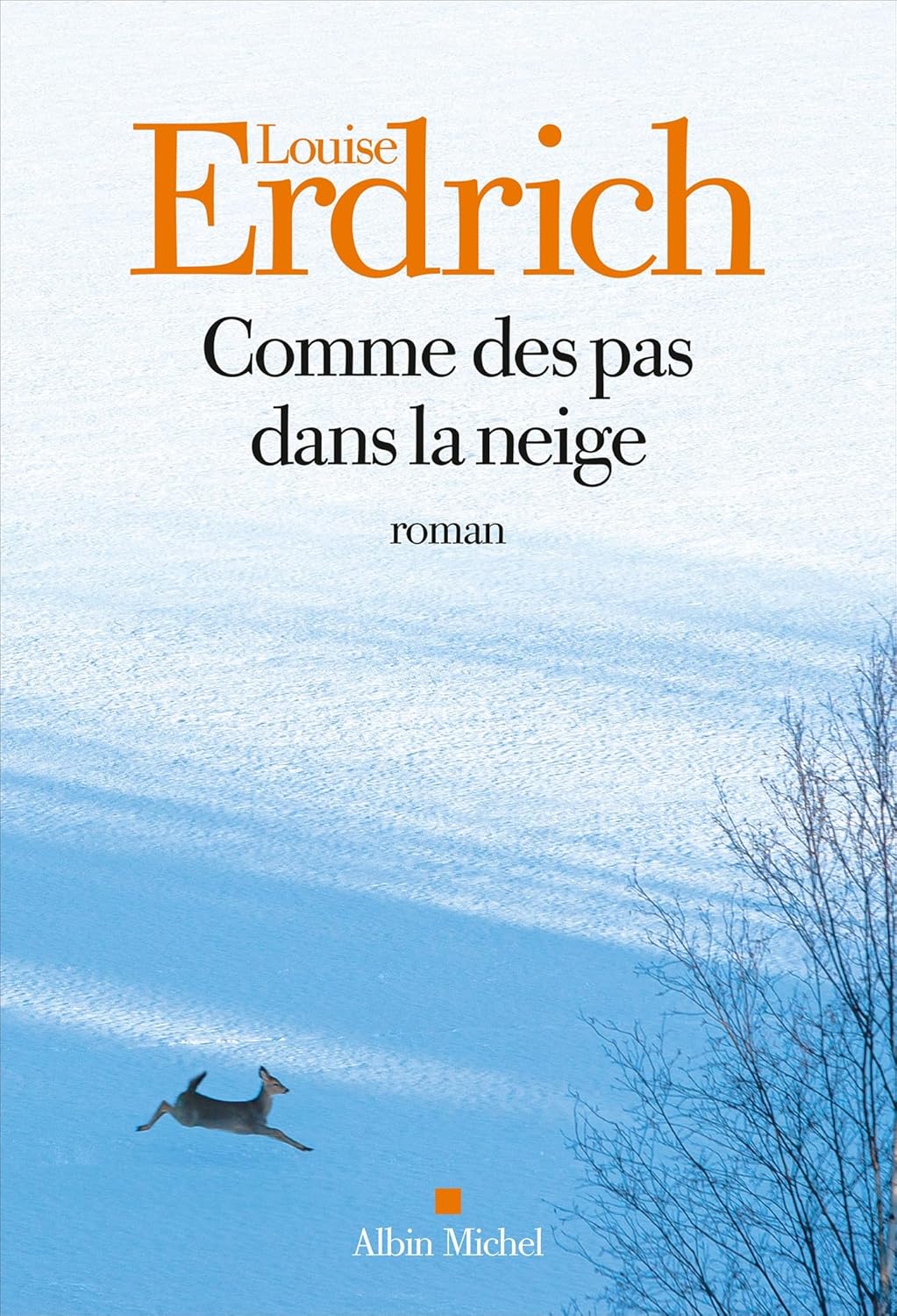 COMME DES PAS DANS LA NEIGE, un roman de Louise Erdrich.