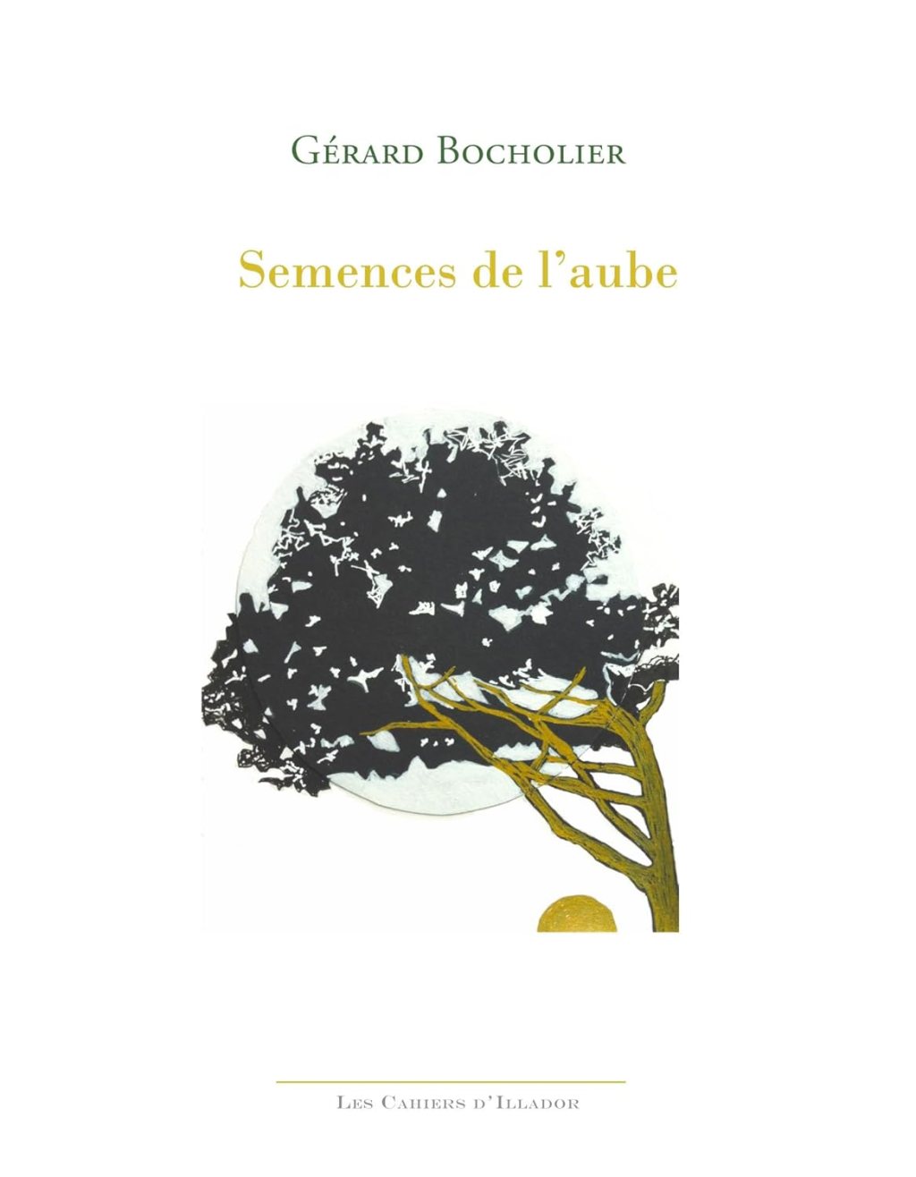 SEMENCES DE L&rsquo;AUBE de Gérard&nbsp;Bocholier.